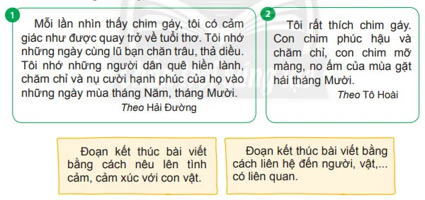 Viết: Viết đoạn mở bài và đoạn kết bài cho bài văn miêu tả con vật – Tiếng Việt 4 Chân trời sáng tạo