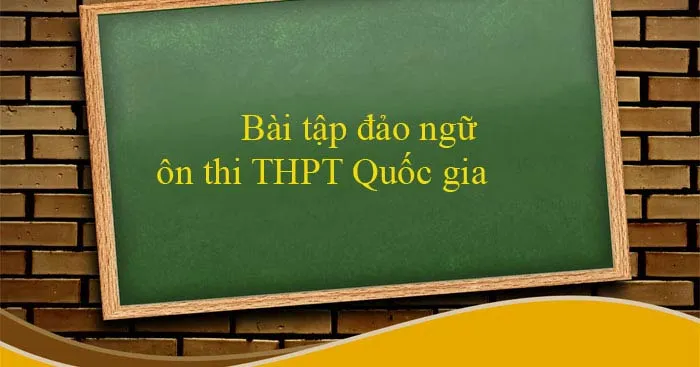 173 câu bài tập đảo ngữ ôn thi THPT Quốc gia 2023