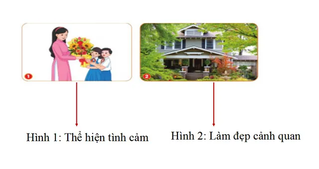 Bài giảng điện tử môn Công nghệ 4 sách Cánh diều (Cả năm)