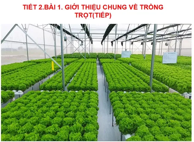 Bài giảng điện tử môn Công nghệ 7 sách Cánh diều (Cả năm)