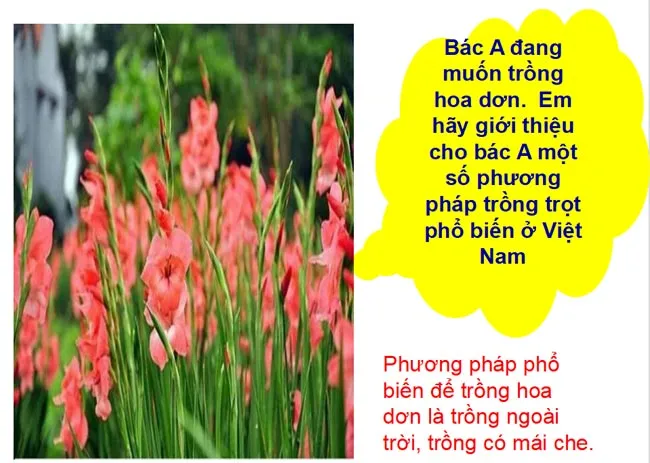 Bài giảng điện tử môn Công nghệ 7 sách Cánh diều (Cả năm)