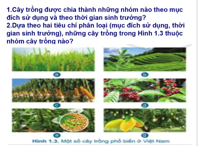 Bài giảng điện tử môn Công nghệ 7 sách Cánh diều (Cả năm)