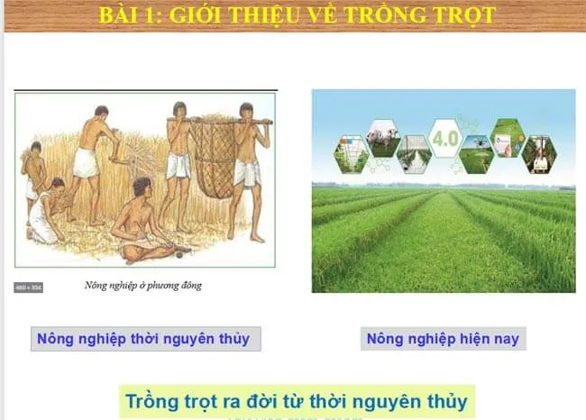 Bài giảng điện tử môn Công nghệ 7 sách Kết nối tri thức với cuộc sống (Cả năm)