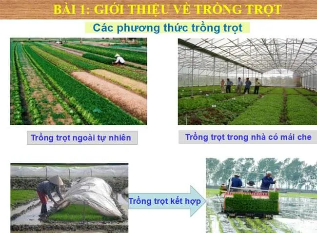 Bài giảng điện tử môn Công nghệ 7 sách Kết nối tri thức với cuộc sống (Cả năm)