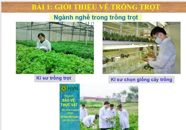 Bài giảng điện tử môn Công nghệ 7 sách Kết nối tri thức với cuộc sống (Cả năm)