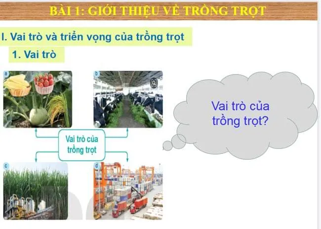 Bài giảng điện tử môn Công nghệ 7 sách Kết nối tri thức với cuộc sống (Cả năm)