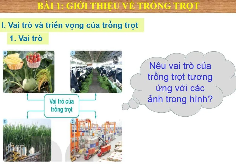 Bài giảng điện tử môn Công nghệ 7 sách Kết nối tri thức với cuộc sống (Cả năm)