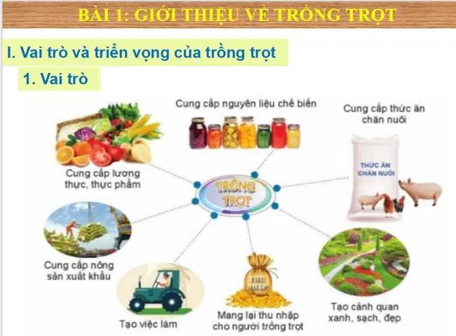 Bài giảng điện tử môn Công nghệ 7 sách Kết nối tri thức với cuộc sống (Cả năm)