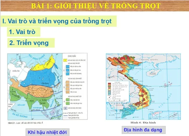 Bài giảng điện tử môn Công nghệ 7 sách Kết nối tri thức với cuộc sống (Cả năm)