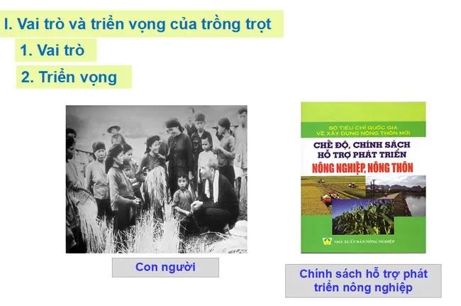 Bài giảng điện tử môn Công nghệ 7 sách Kết nối tri thức với cuộc sống (Cả năm)