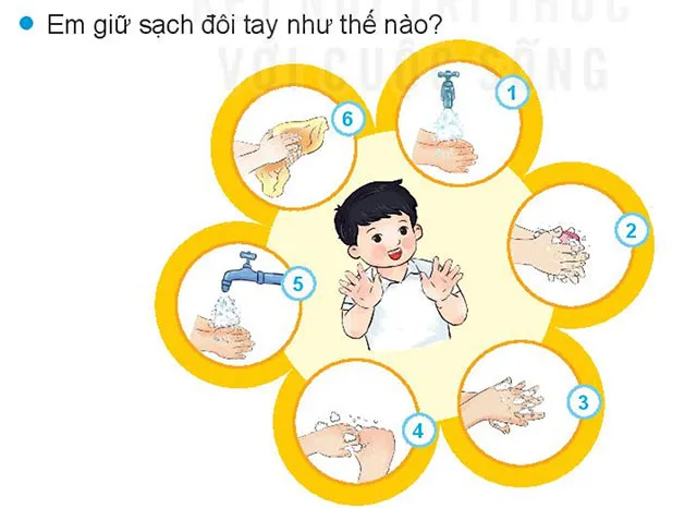 Bài giảng điện tử môn Đạo đức 1 sách Kết nối tri thức với cuộc sống (Cả năm)