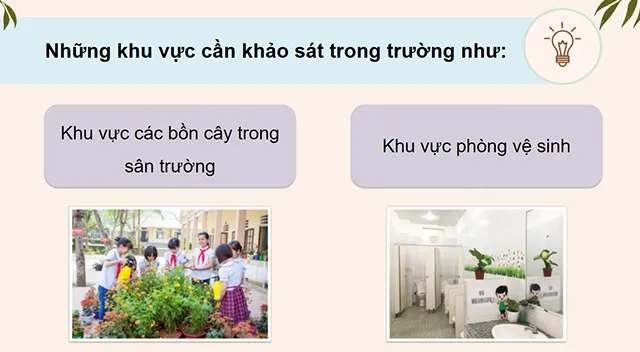 Bài giảng điện tử môn Hoạt động trải nghiệm 4 sách Cánh diều