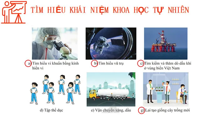 Bài giảng điện tử môn Khoa học tự nhiên 6 sách Cánh diều (Cả năm)