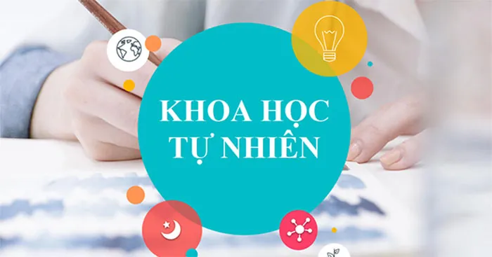 Bài giảng điện tử môn Khoa học tự nhiên 6 sách Kết nối tri thức với cuộc sống (Cả năm)