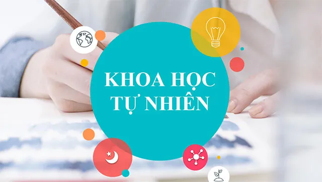 Bài giảng điện tử môn Khoa học tự nhiên 6 sách Kết nối tri thức với cuộc sống (Cả năm)