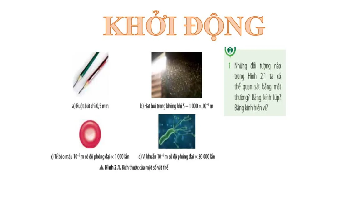 Bài giảng điện tử môn Khoa học tự nhiên 7 sách Kết nối tri thức với cuộc sống (Cả năm)