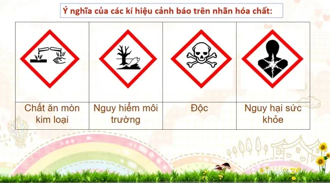 Bài giảng điện tử môn Khoa học tự nhiên 8 sách Kết nối tri thức với cuộc sống