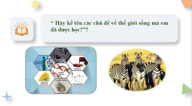 Bài giảng điện tử môn Sinh học 10 sách Cánh diều (Cả năm)