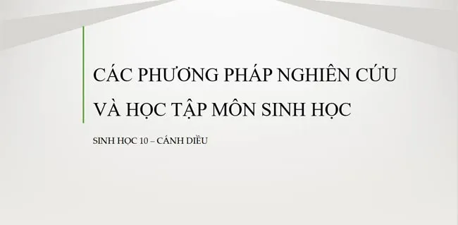 Bài giảng điện tử môn Sinh học 10 sách Cánh diều (Cả năm)