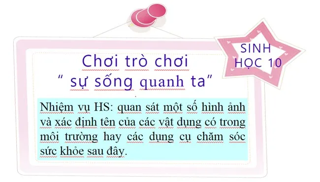 Bài giảng điện tử môn Sinh học 10 sách Chân trời sáng tạo