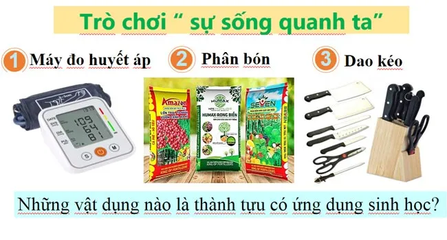 Bài giảng điện tử môn Sinh học 10 sách Chân trời sáng tạo