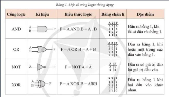 Bài giảng điện tử môn Tin học 11 sách Cánh diều