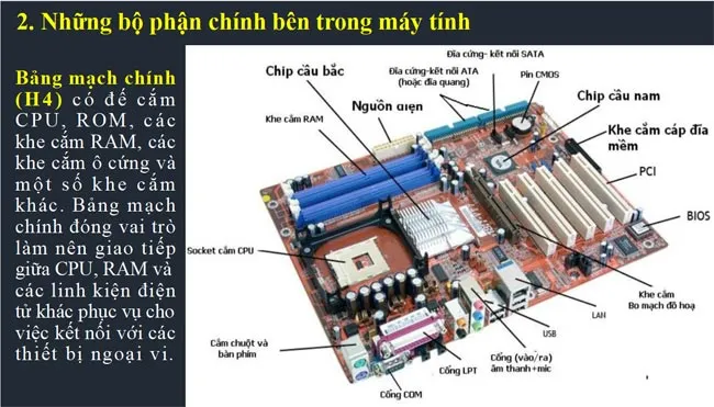 Bài giảng điện tử môn Tin học 11 sách Cánh diều