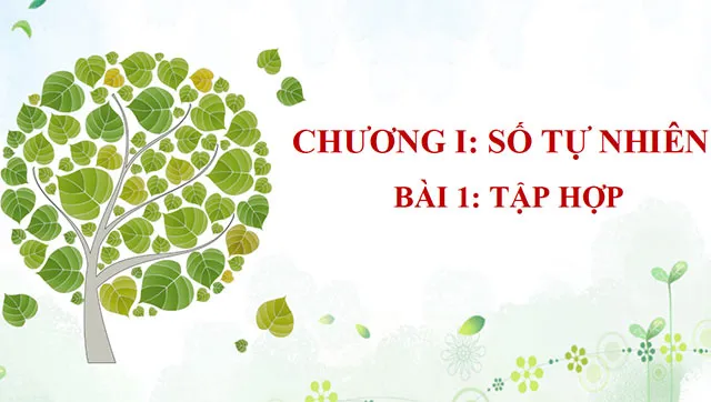 Bài giảng điện tử môn Toán 6 sách Cánh diều (Cả năm)