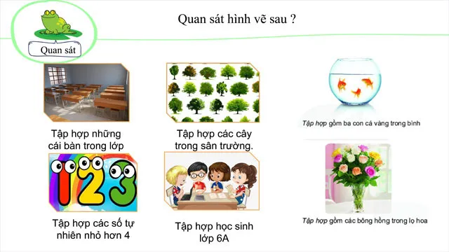 Bài giảng điện tử môn Toán 6 sách Kết nối tri thức với cuộc sống (Cả năm)