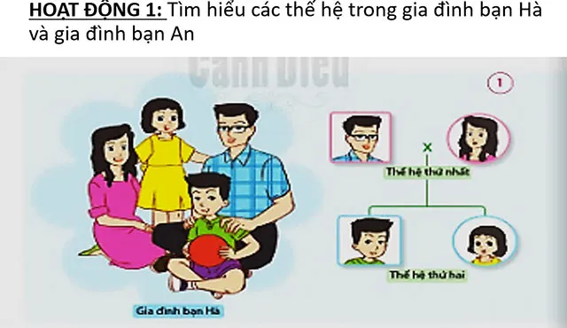 Bài giảng điện tử môn Tự nhiên và xã hội 2 sách Cánh diều (Cả năm)