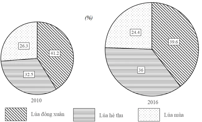 Biểu đồ tròn: Cách vẽ và bài tập