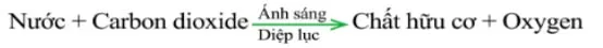 Bộ đề ôn thi giữa kì 2 môn Khoa học tự nhiên 7 sách Kết nối tri thức với cuộc sống