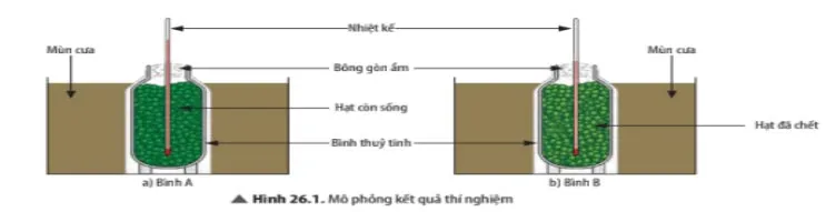 Bộ đề ôn thi giữa kì 2 môn Khoa học tự nhiên 7 sách Kết nối tri thức với cuộc sống