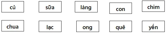 Bộ đề ôn thi học kì 1 môn Tiếng Việt lớp 1 sách Cánh diều