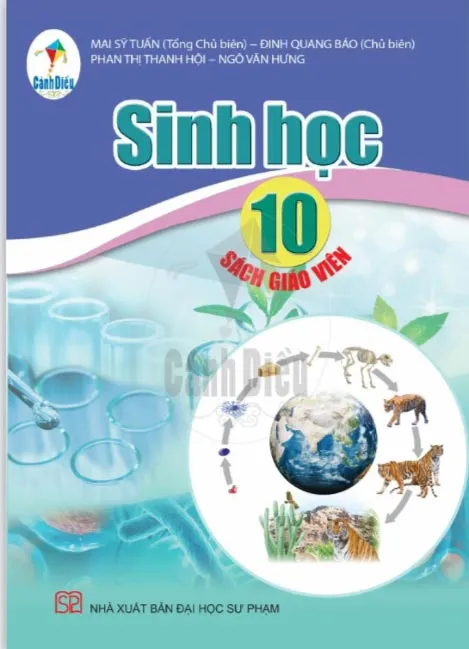 Bộ sách giáo khoa Lớp 10: Cánh diều (Sách giáo viên)