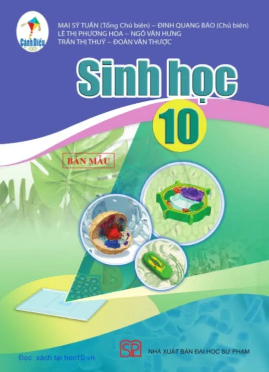 Bộ sách giáo khoa Lớp 10: Cánh diều (Sách học sinh)