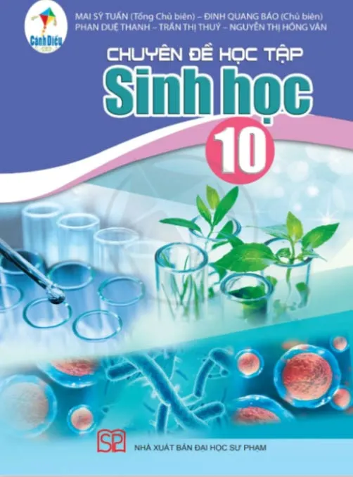 Bộ sách giáo khoa Lớp 10: Cánh diều (Sách học sinh)