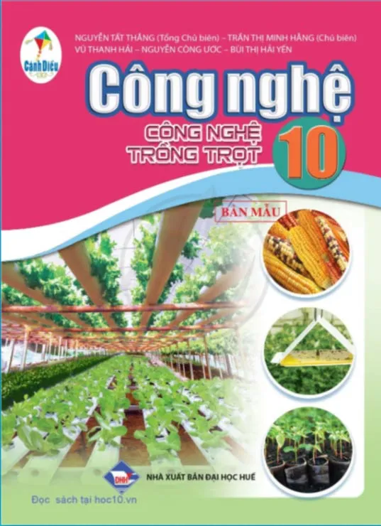 Bộ sách giáo khoa Lớp 10: Cánh diều (Sách học sinh)