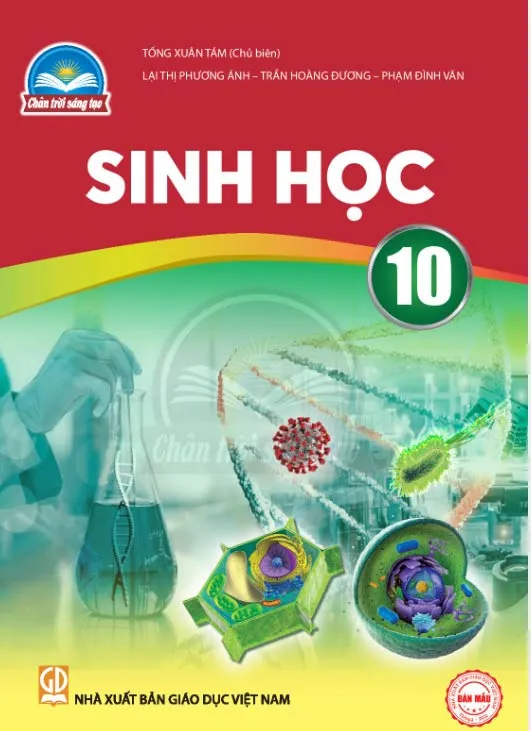 Bộ sách giáo khoa Lớp 10: Chân trời sáng tạo (Sách học sinh)