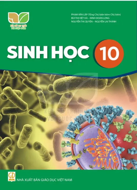 Bộ sách giáo khoa Lớp 10: Kết nối tri thức với cuộc sống (Sách học sinh)