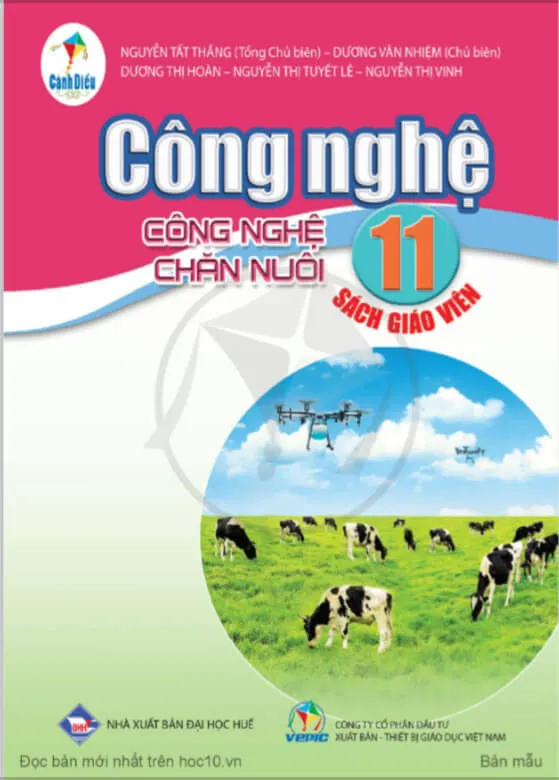 Bộ sách giáo khoa Lớp 11: Cánh diều (Sách giáo viên)