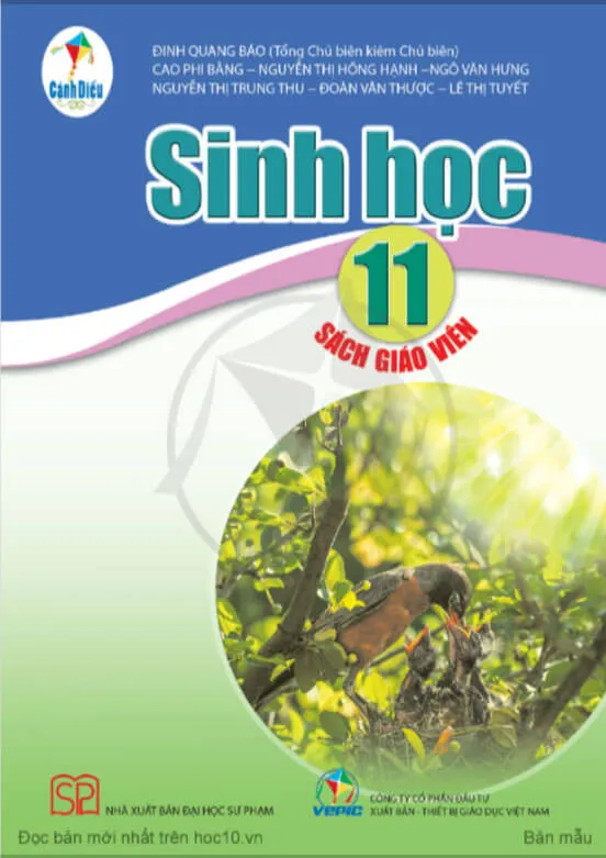 Bộ sách giáo khoa Lớp 11: Cánh diều (Sách giáo viên)