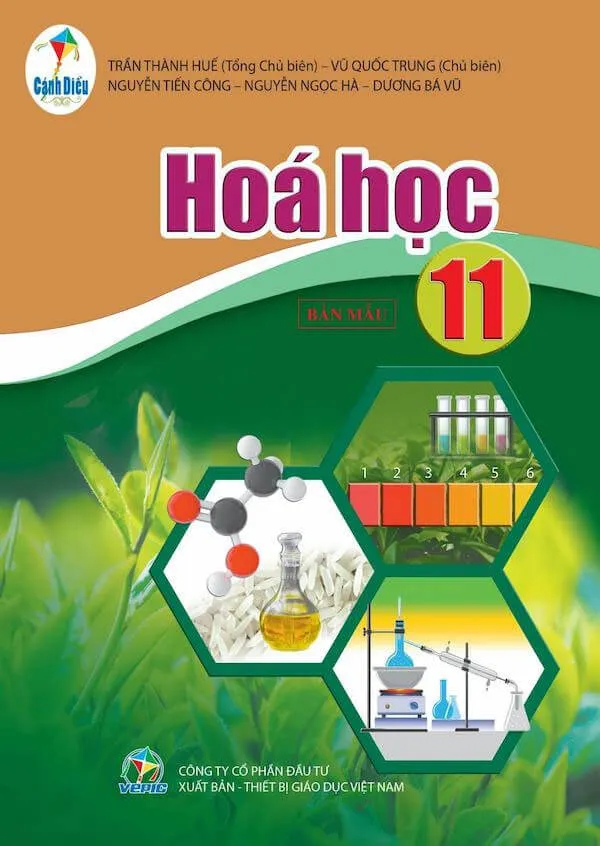 Bộ sách giáo khoa Lớp 11: Cánh diều (Sách học sinh)