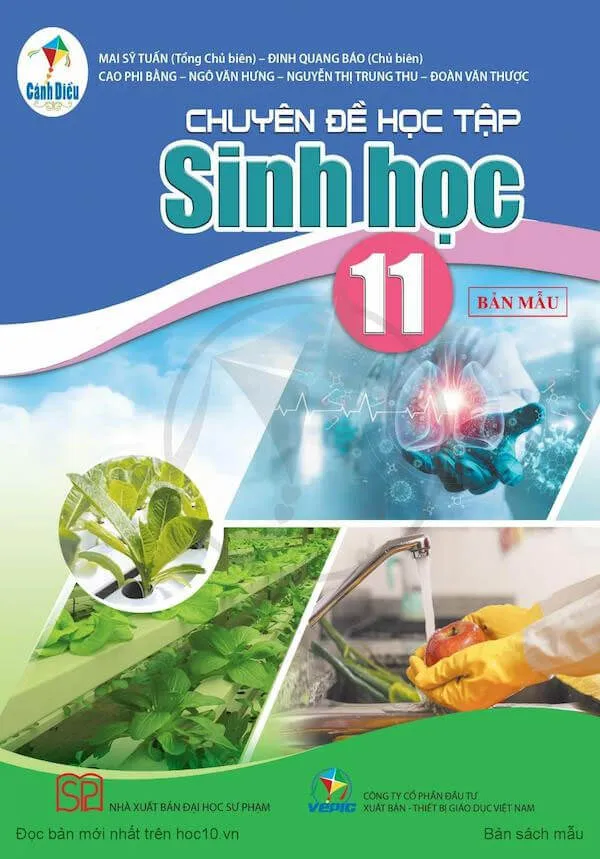 Bộ sách giáo khoa Lớp 11: Cánh diều (Sách học sinh)