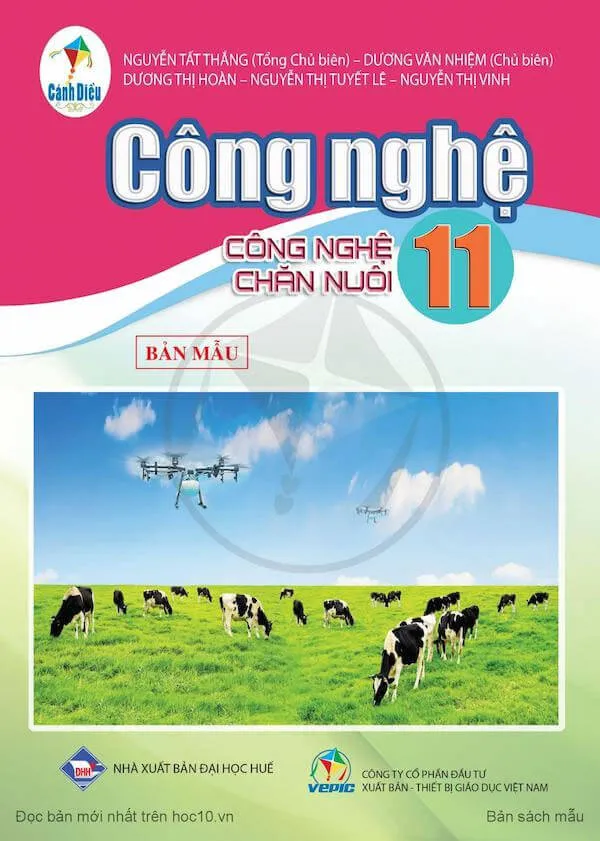 Bộ sách giáo khoa Lớp 11: Cánh diều (Sách học sinh)