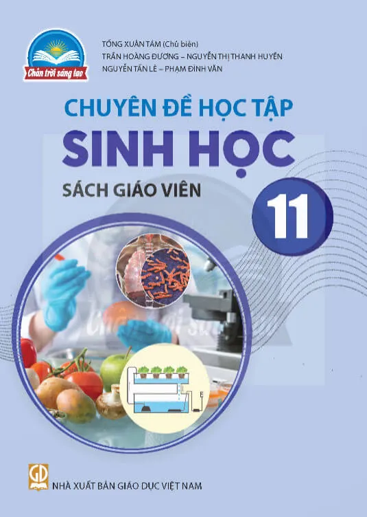 Bộ sách giáo khoa Lớp 11: Chân trời sáng tạo (Sách giáo viên)