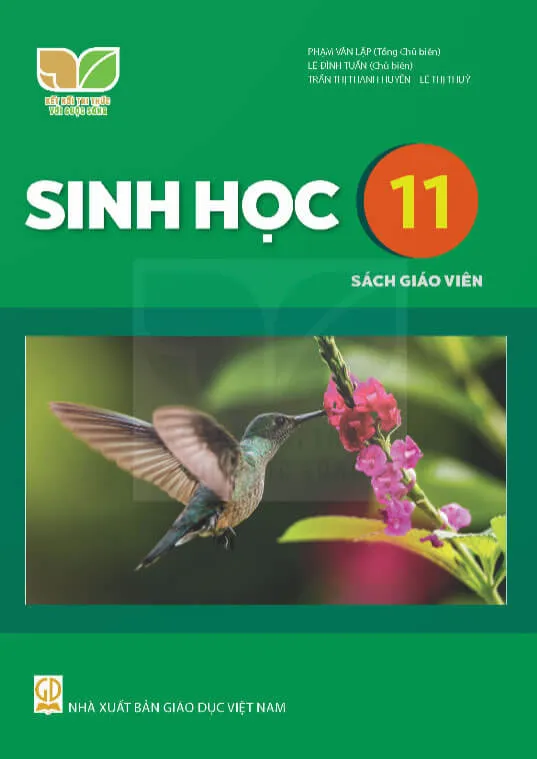 Bộ sách giáo khoa Lớp 11: Kết nối tri thức với cuộc sống (Sách giáo viên)