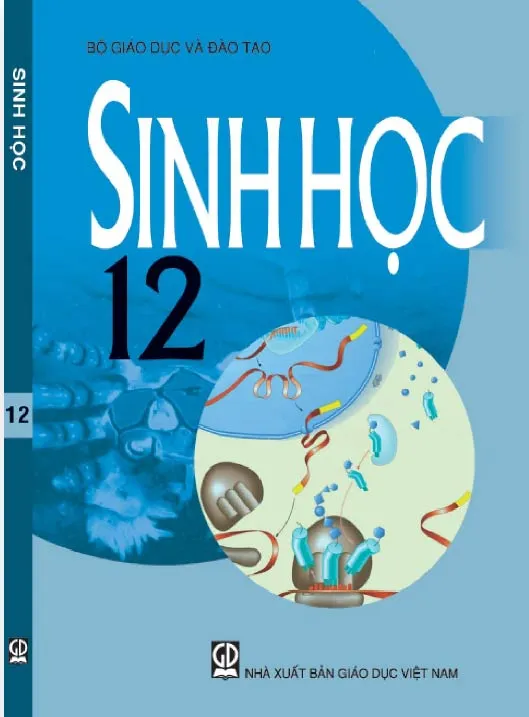 Bộ sách giáo khoa Lớp 12 (Sách học sinh)