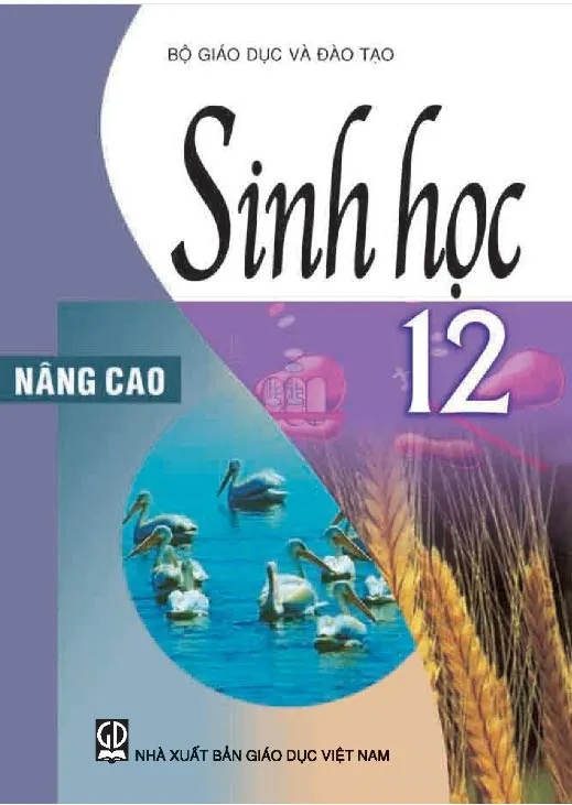 Bộ sách giáo khoa Lớp 12 (Sách học sinh)