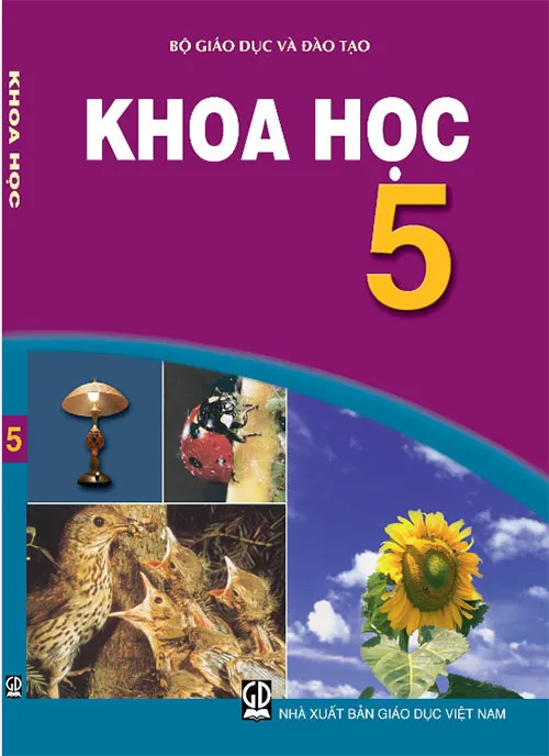 Bộ sách giáo khoa Lớp 5 (Sách học sinh)